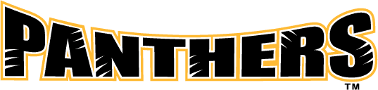 Wisconsin-Milwaukee Panthers 2002-2010 Wordmark Logo diy iron on heat transfer